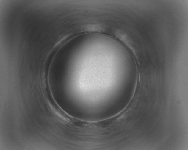 X0000083010249200702091258