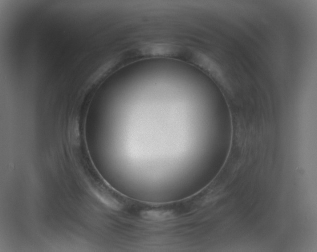 X0000083010251200702091258