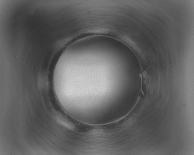 X0000083010252200702091258