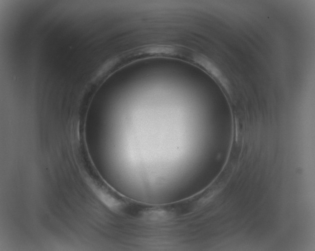 X0000083010253200702091258