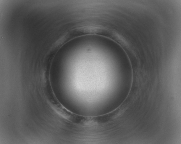 X0000083010258200702091258