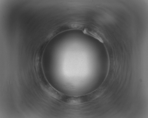 X0000083010263200702091258