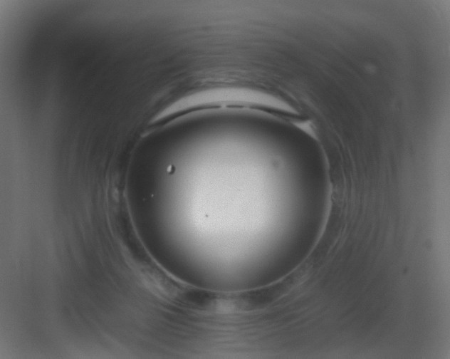 X0000083010264200702091258