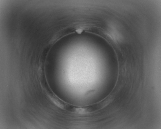 X0000083010265200702091258