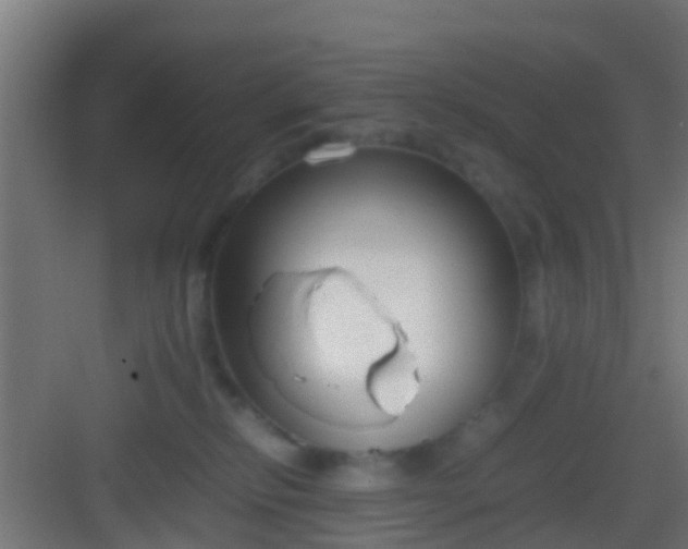 X0000083010278200702091258