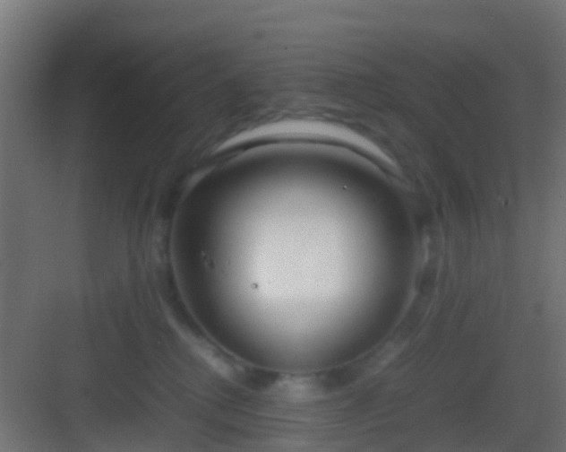 X0000083010280200702091258