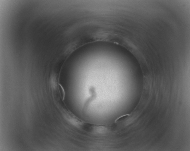 X0000083010287200702091258