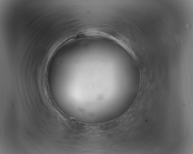 X0000083010289200702091258