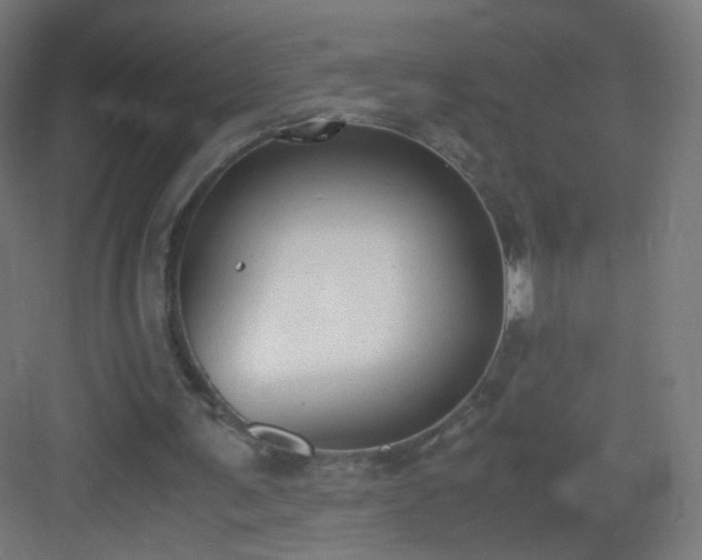 X0000083010291200702091258