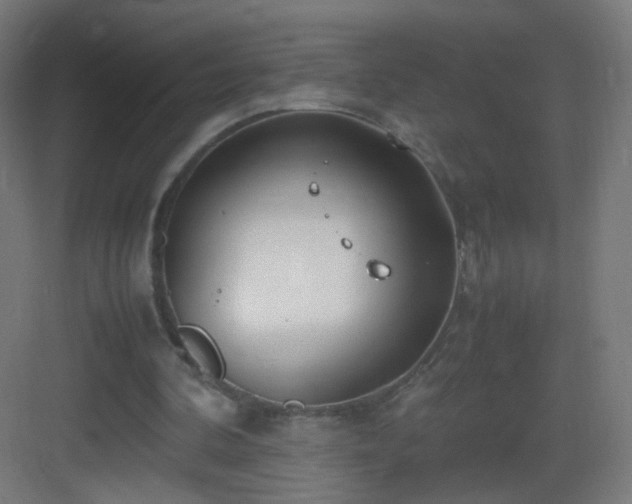 X0000083010292200702091258