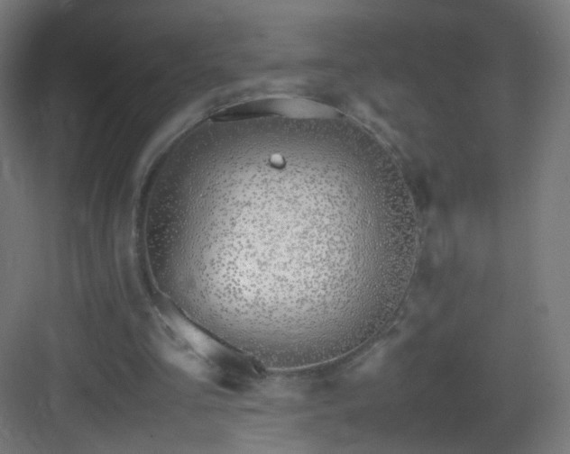 X0000083010293200702091258