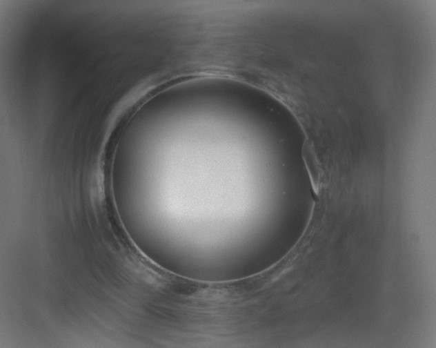 X0000083010294200702091258