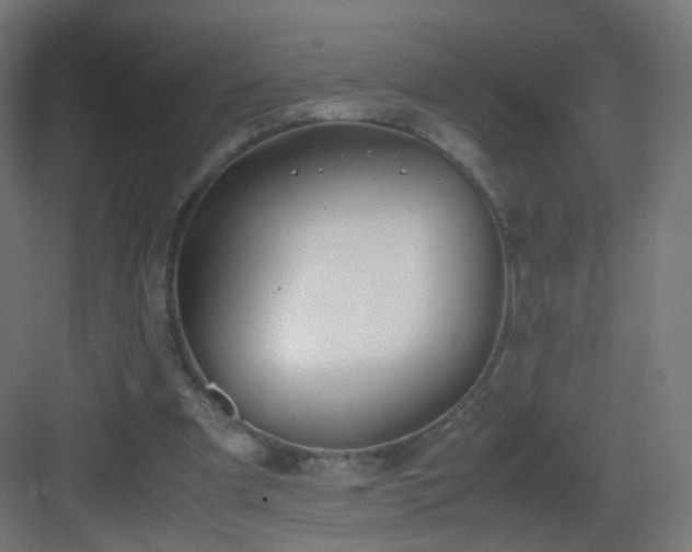 X0000083010297200702091258