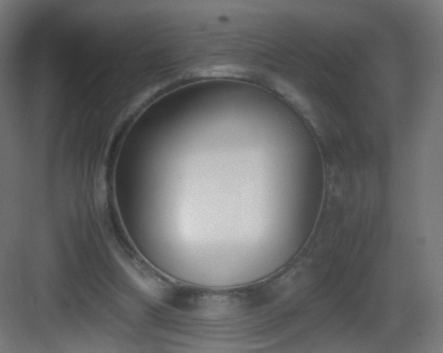 X0000083010298200702091258