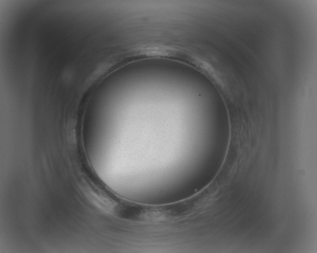 X0000083010299200702091258