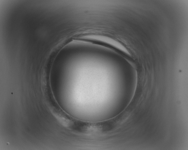 X0000083010303200702091257