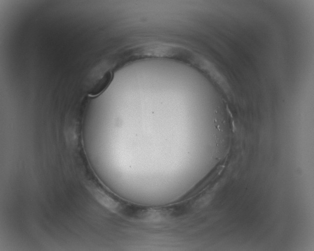 X0000083010305200702091257