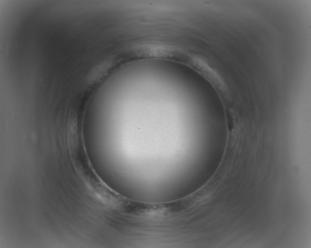 X0000083010306200702091257