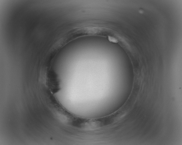 X0000083010307200702091257