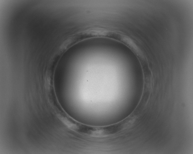 X0000083010309200702091257