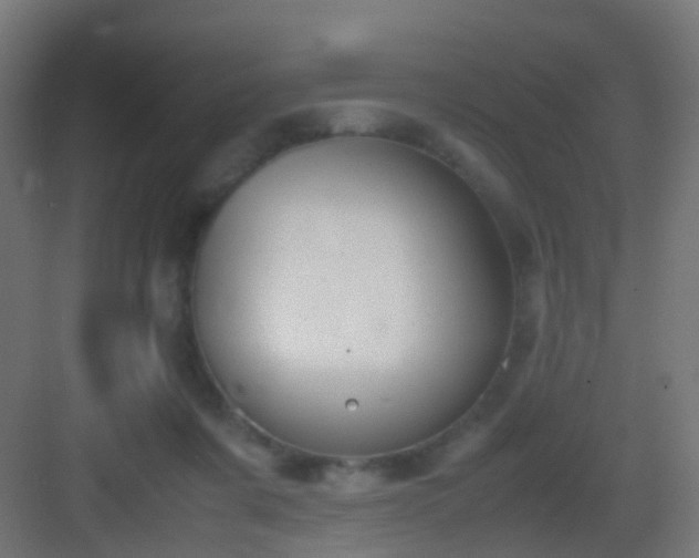 X0000083010311200702091257