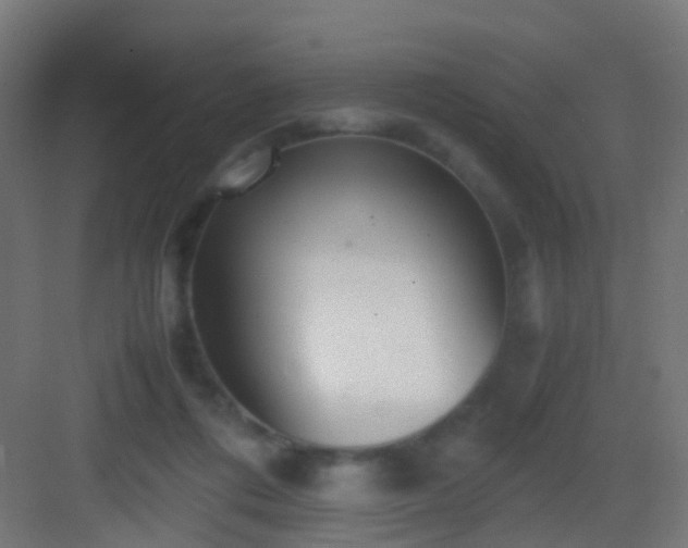 X0000083010312200702091257