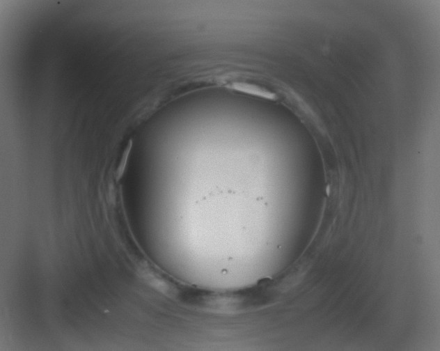 X0000083010313200702091257