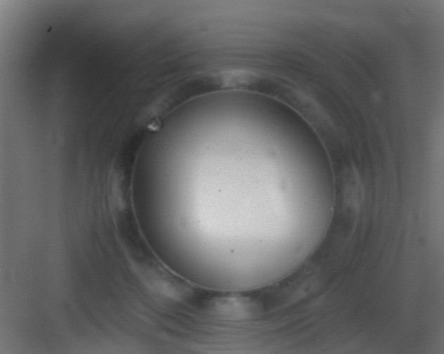 X0000083010316200702091257