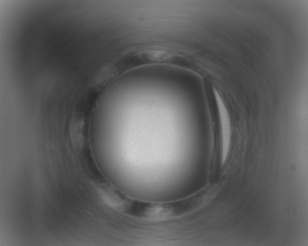 X0000083010319200702091257