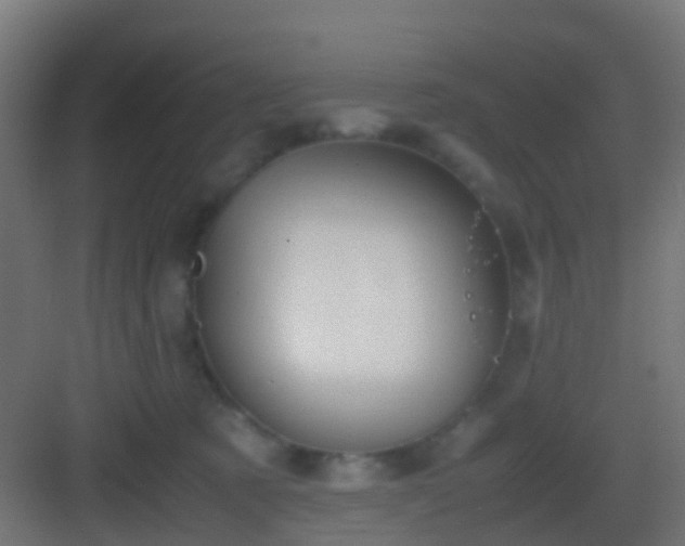 X0000083010321200702091257