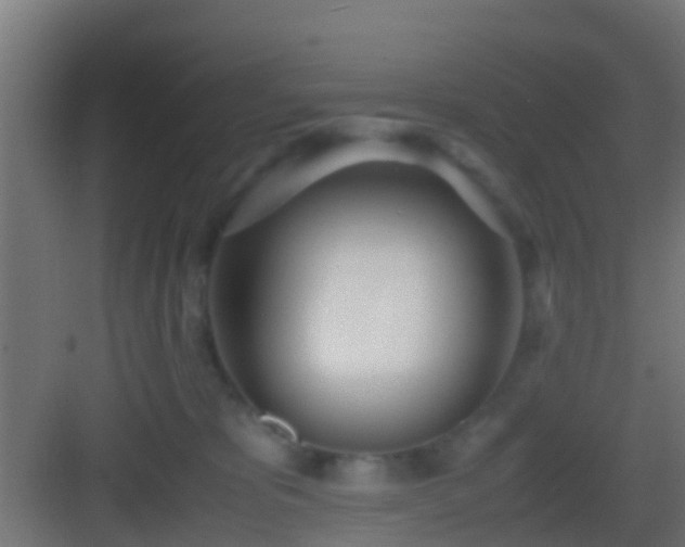 X0000083010325200702091257