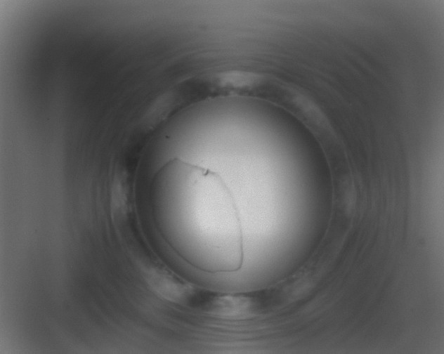 X0000083010328200702091257