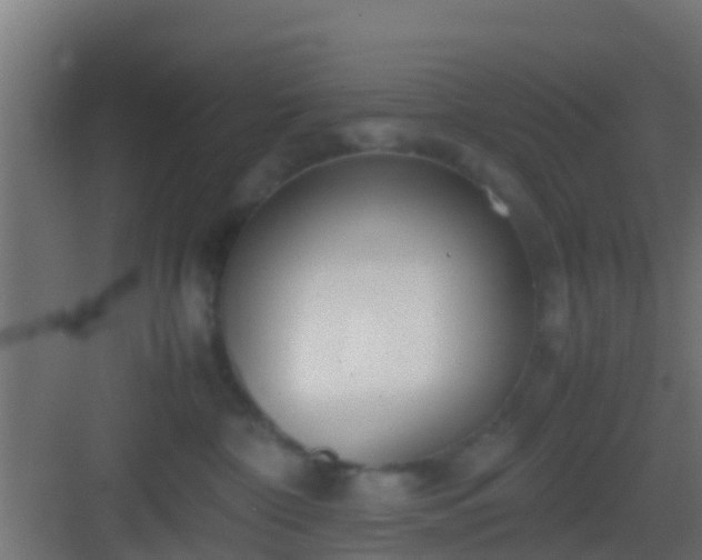 X0000083010332200702091257