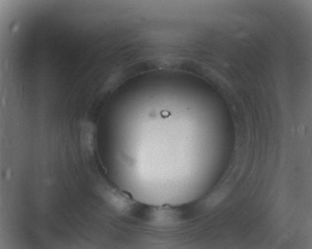 X0000083010336200702091257