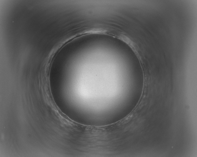 X0000083010337200702091256