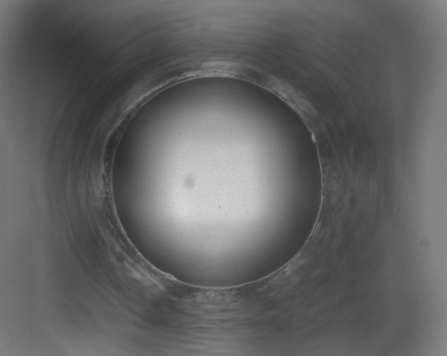 X0000083010338200702091256