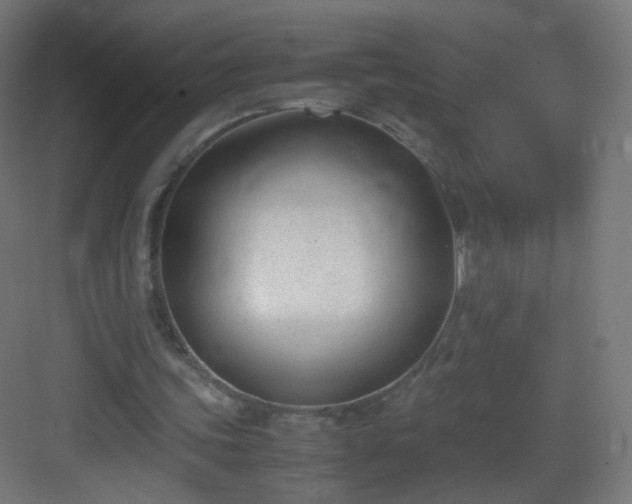 X0000083010339200702091256