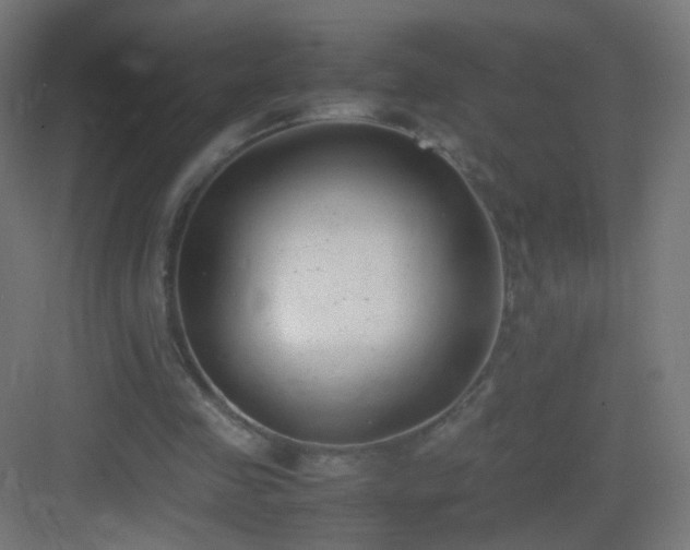 X0000083010341200702091256