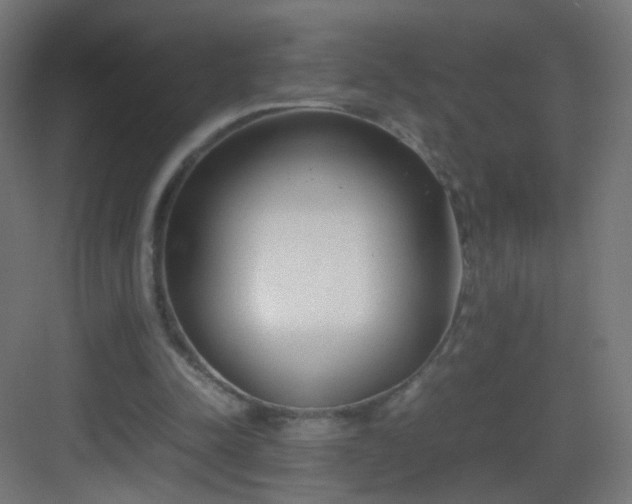 X0000083010342200702091256