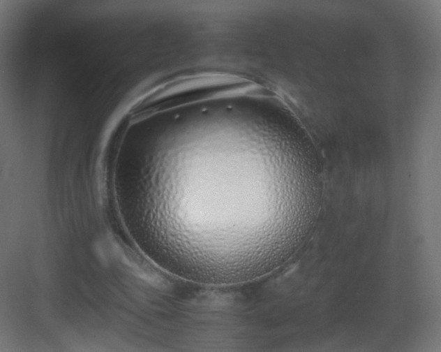 X0000083010343200702091256