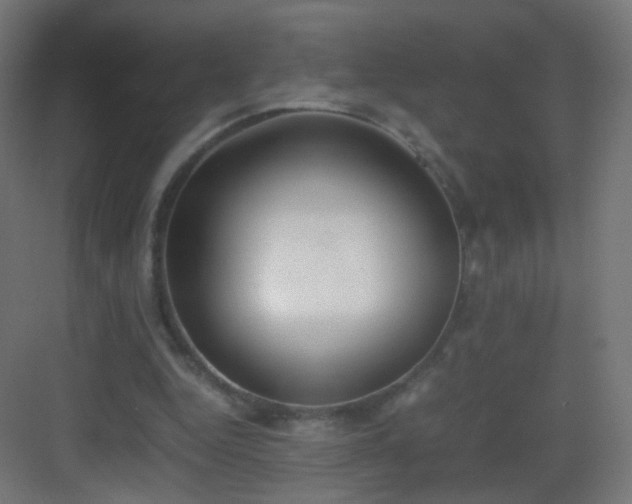 X0000083010344200702091256