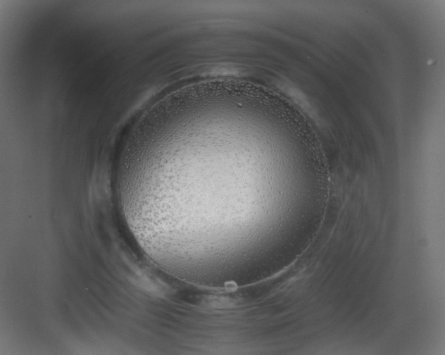 X0000083010347200702091256