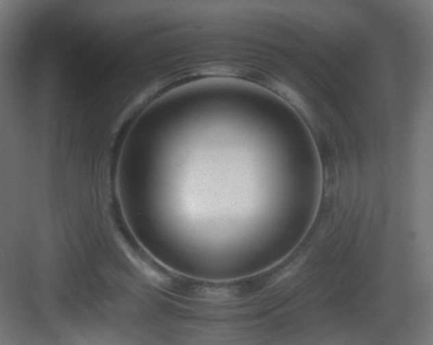 X0000083010349200702091256