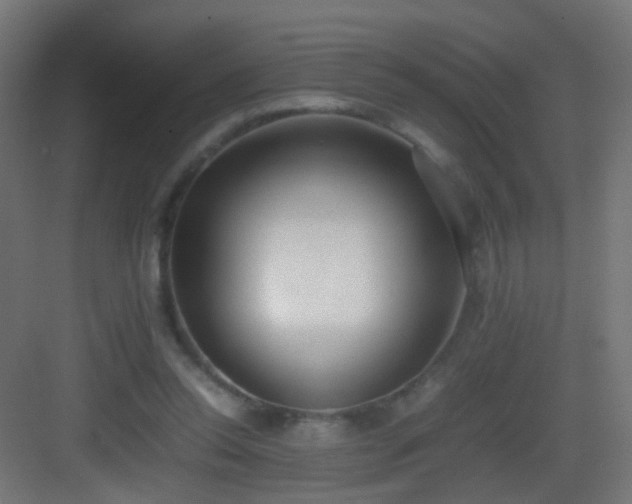 X0000083010350200702091256