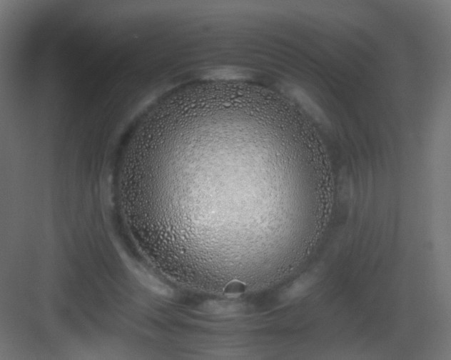 X0000083010351200702091256