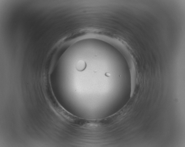 X0000083010352200702091256