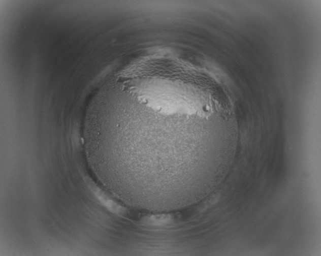 X0000083010353200702091256