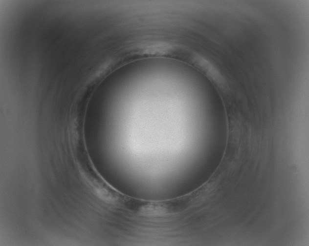 X0000083010354200702091256