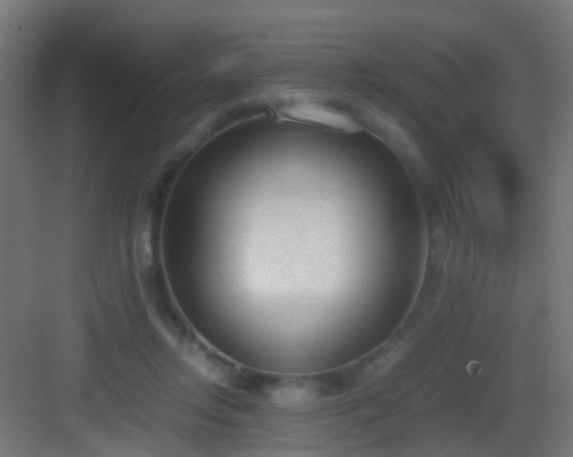 X0000083010358200702091256