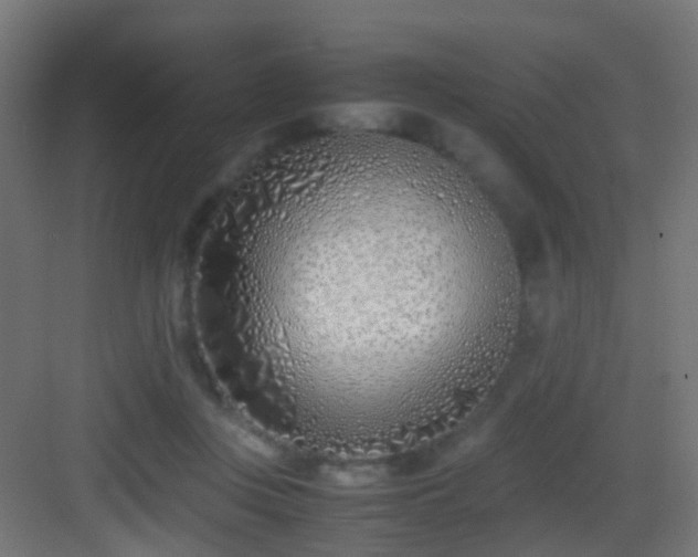 X0000083010359200702091256